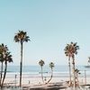 ariannadavis805